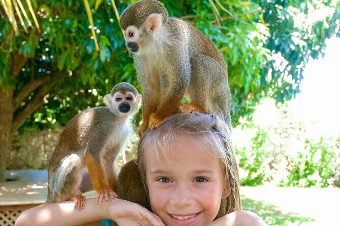 3x1: Monkeyland Waterfalls and Buggy Tour Puerto Plata - Timing, Pickup, and How to Plan Your Day Around It