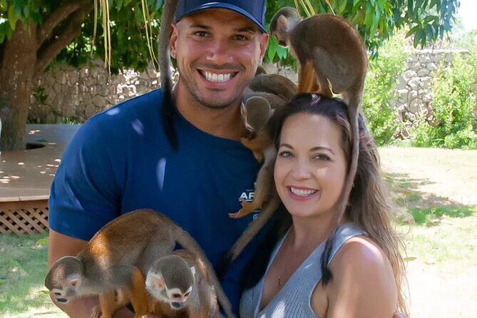 3x1: Monkeyland Waterfalls and Buggy Tour Puerto Plata - Who This Tour Is Best For (And Who Should Skip It)