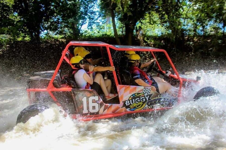 Buggy Tour Excursion in Taino Bay and Amber Cove Port - Buggy Time on the North Coast: The Feel of This 2-Hour Excursion