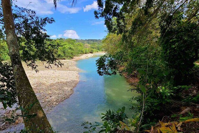 Puerto Plata Rejoya River Excursion Amber Cove Taino Bay Hotels - Why the Rejoya River trek feels different from the usual Puerto Plata stops