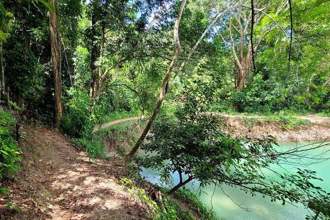 Puerto Plata Rejoya River Excursion Amber Cove Taino Bay Hotels - Guide Jonathan: why good guiding changes a waterfall day