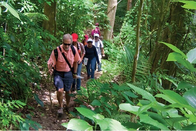 Puerto Plata Rejoya River Excursion Amber Cove Taino Bay Hotels - Your early start: pickup, timing, and how the day flows